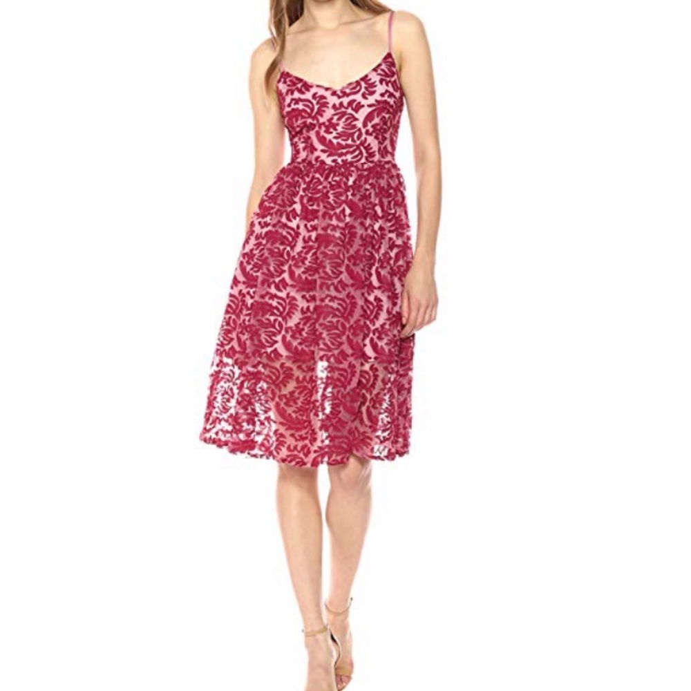 BB Dakota Pink Embroidered Dress